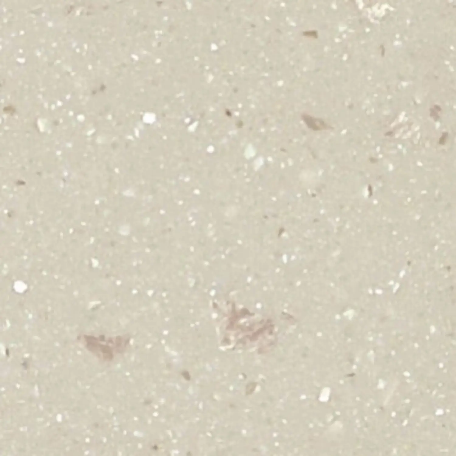 Maia Fossil Kitchen Worktop Edging Strip - 120 X 2.8cm 3 Maia Fossil Kitchen Worktop Edging Strip - 120 X 2.8cm